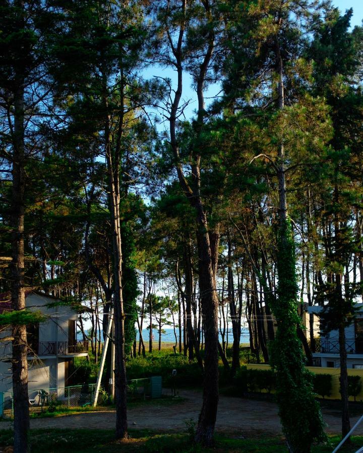 Restcoast Villa Šekvetili Exteriér fotografie
